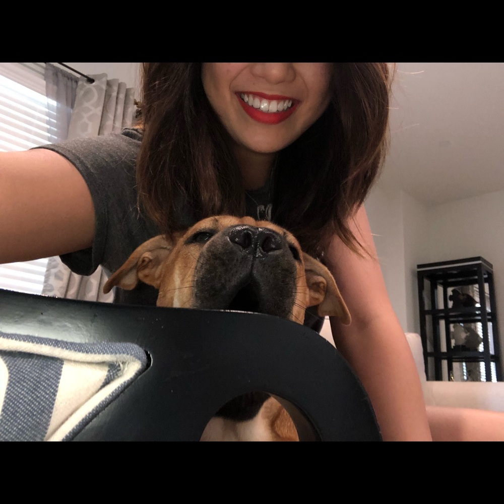 Meet your Posher, Angel